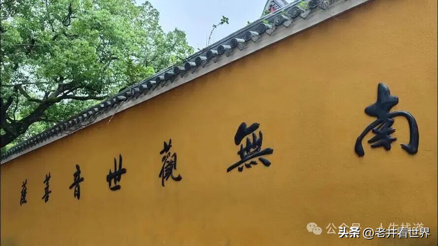 到普陀山磕一宿筒子 ‖ 胡成江