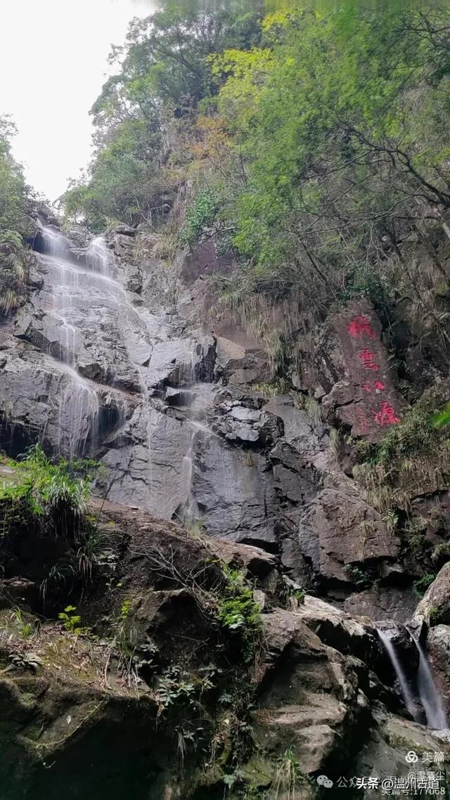 远上乌岩岭上斜,白云生处白云尖!温州这处秋日美景值得一去!