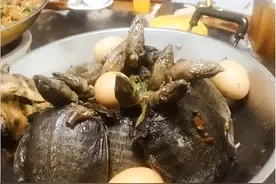 "请领导吃饭，刚上菜领导二话不说就走了，是我点的菜太穷酸了吗"图片