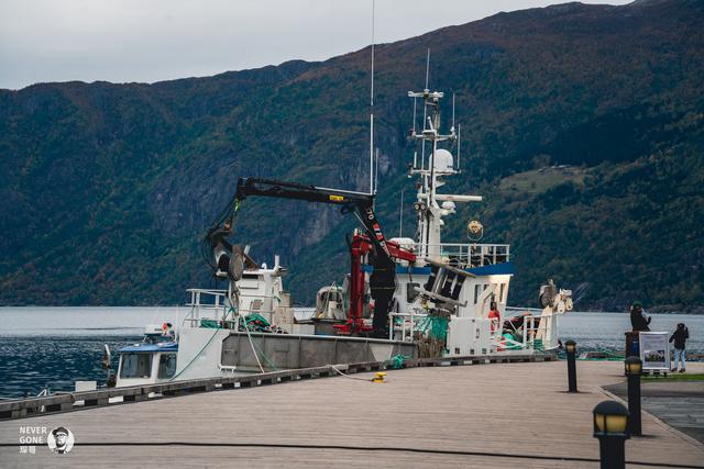 挪威秋韵，峡湾森境