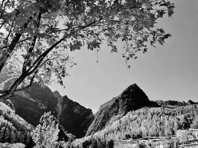 去捕捉秋的痕迹，一键点亮贵清山遮阳山景区的秋天！