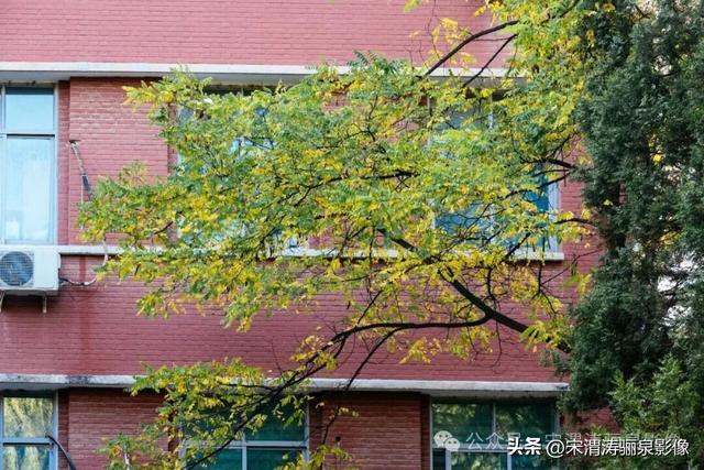 甘肃兰州：兰州两日游之兰州大学壮观大气 秋色盎然 美丽醉人
