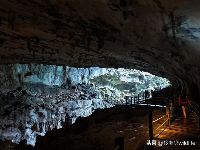 马来西亚(29)砂拉越州③姆鲁山清水洞·风洞