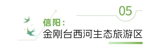 河南“天然空调房”里，来场“森呼吸”！