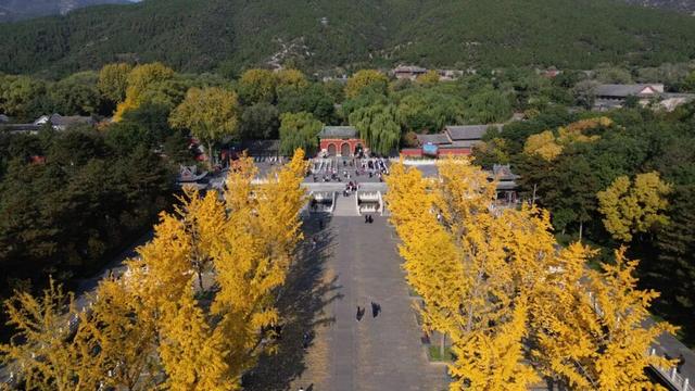 图片故事 | 秋染晋祠：当千年古建染上斑斓秋色