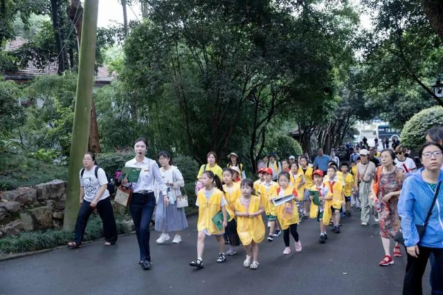 招募!黄鹤少年请就位