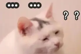 6岁男童独自进浴室，出来多了个219元搓澡套餐？洗浴中心回应→图片