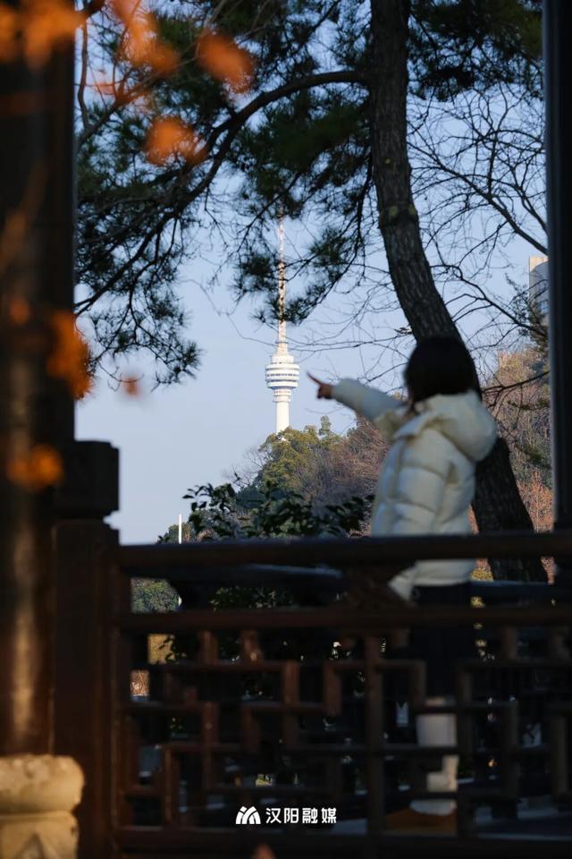 武汉独有登高新玩法，和“亚洲桅杆”合个影！