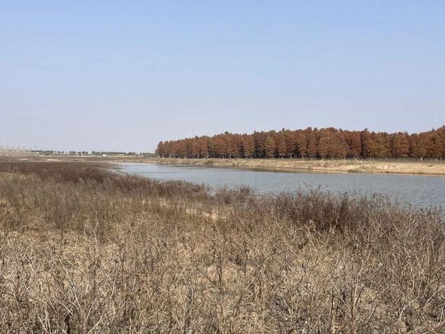 骑游来安半塔釜山水库池杉林生态园攻略