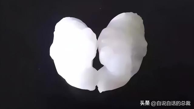 十年花胶多少钱一斤 2026年十年花胶多少钱一斤正常