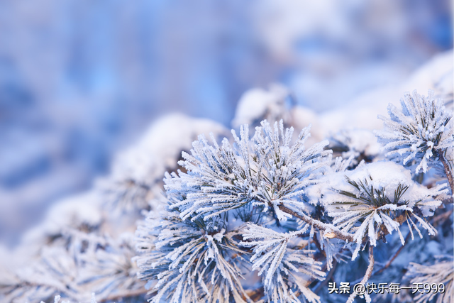 “最怕三九晴又暖	” 今年三九太反常 连续晴天	，有啥预兆？农谚咋说
