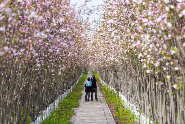 两性关系：相思如浪，情深入骨！古人绝美诗句道尽爱的执念