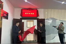 全省首个劳动人事争议数字审理庭在岳揭牌图片