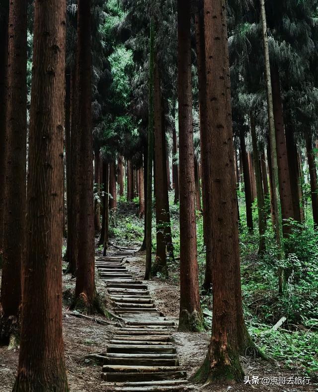 成都彭州5条爆红徒步线路，被严重低估，全部免费，景色秀美！