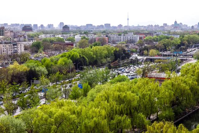 看东城，一路繁花，四季幻彩！