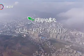 大山“移民”的春日颂|《共同的春天》-新春特辑云南卫视22:05播出图片