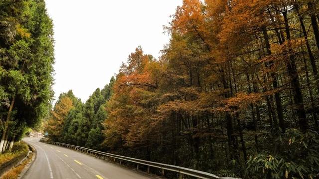 国庆复习手册！您的假期回忆正在加载中