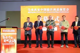 马来西亚！临沂来了！图片