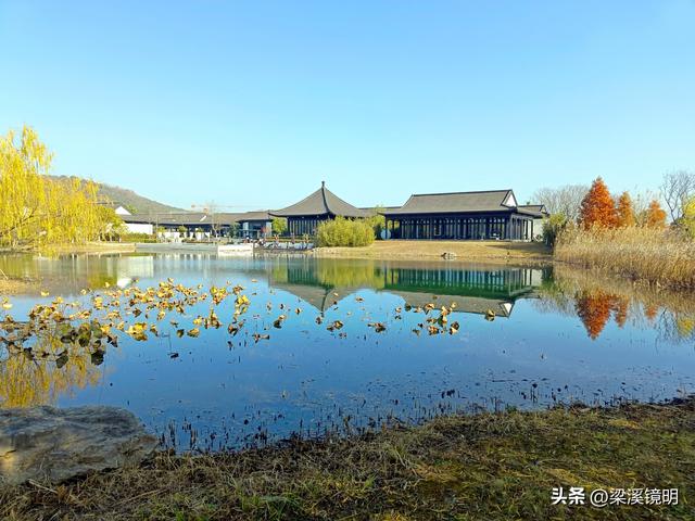 大雪时节，来汤山金乌公园晒暖阳、泡温泉（上）