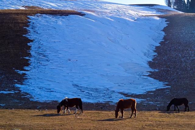 如要选一个冬季最佳拍雪景的地方,首选一定是它