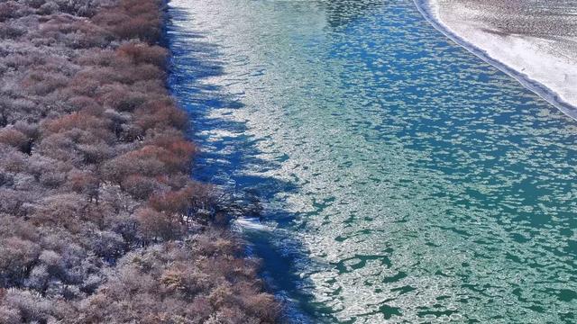 甘肃玛曲：流凌逐浪黄河岸冰花绽作雪域笺