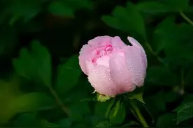 74年，51岁，替大家试过了，中年女性坚持锻炼，有意想不到的惊喜图片