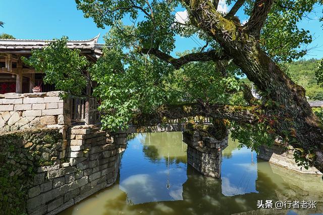 藏在福建罗源大山里的千年古村落，始于唐代，宋代古桥清代豪宅