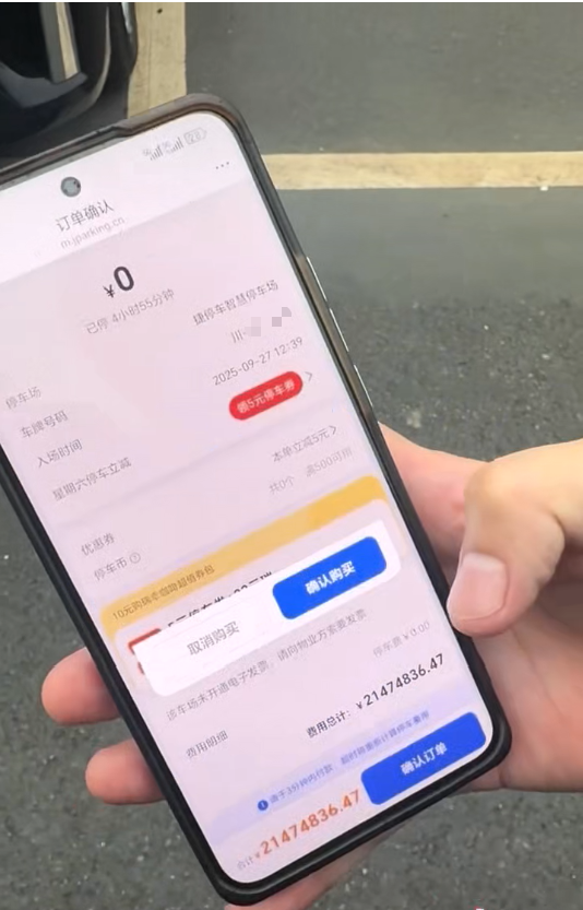 游客称在景区遭遇21474836元停车费