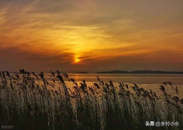 “冷不冷，就看霜降”	，今日霜降，今年冬天会很冷吗？