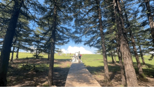 山西芦芽山：这个夏天的清凉秘境