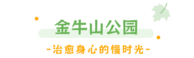 藏在乳山各处的温柔｜这些公园，让心情慢下来