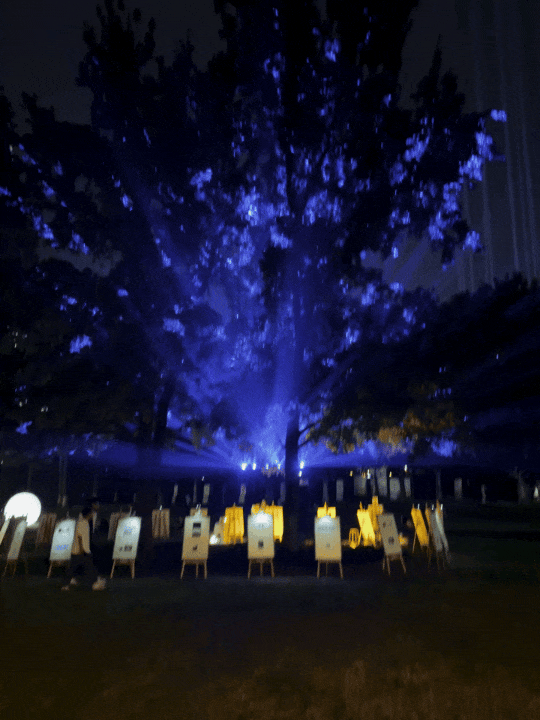 live动图！武汉植物园夜游继续开放 凉爽秋夜来这里