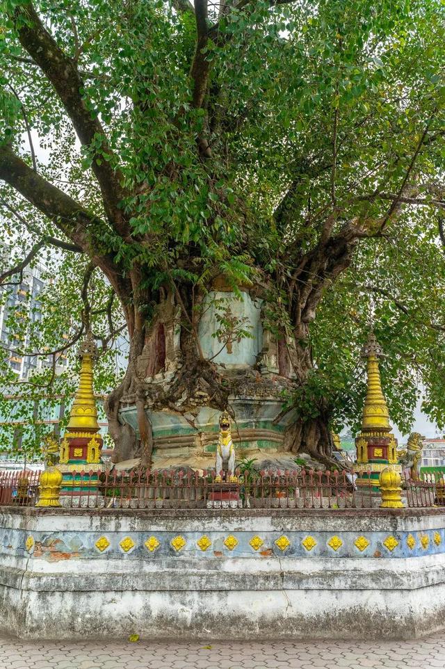 云南最美最经典的自驾线，1600公里跨越6州市，一路风光一路惊喜