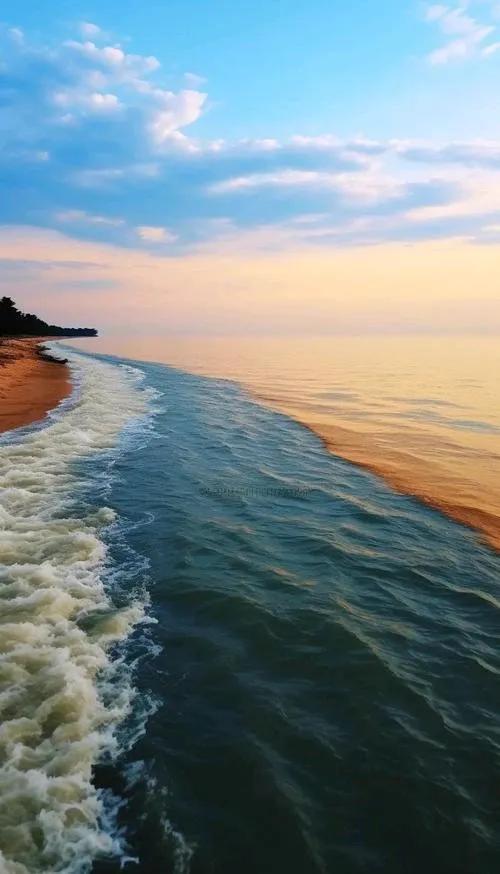 山东东营旅游攻略：探索黄河入海口的魅力之地