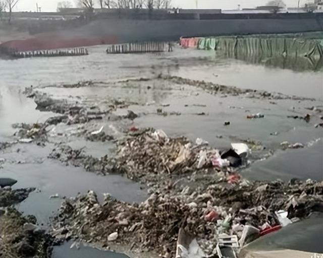 「京城水脉·夏日亲水地图系列报道」莲花河:千年水脉的都市新生