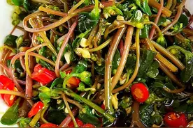 3种野草被称为“养生王”，清热解毒，活血化瘀，建议中老年常吃图片