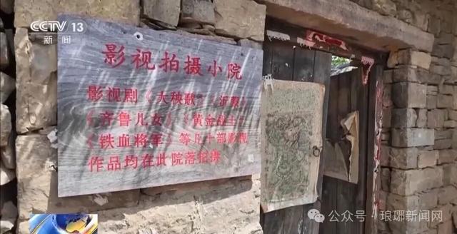 火了！临沂这个村，上央视了！