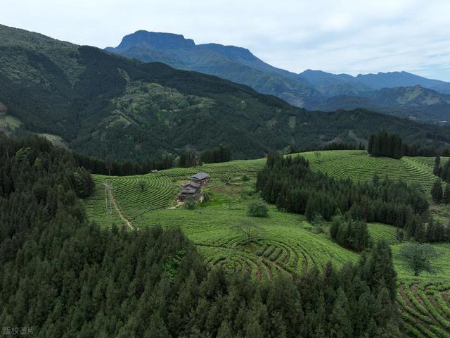 到山里去，8个森林环抱的好地方，过几天山居生活，回归纯粹