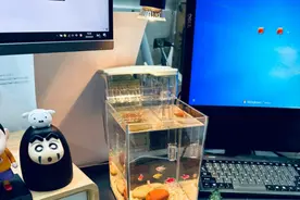 工位装修，正逐渐成为一种新的生活方式？图片