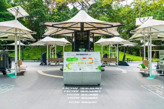 深圳秋色上线！这个公园，藏不住了......