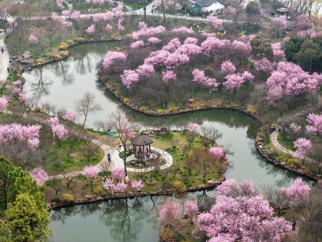 春风时节，春光好