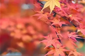 异性相处，微信上有这些“小标志”，说明在相互暗恋图片