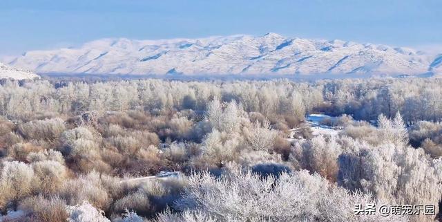 新疆雪山之巅俯瞰，云海翻滚如仙境	，当地人说出惊人秘密