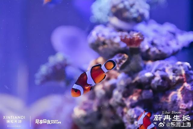 魔都中的绿洲，都市森林快来体验