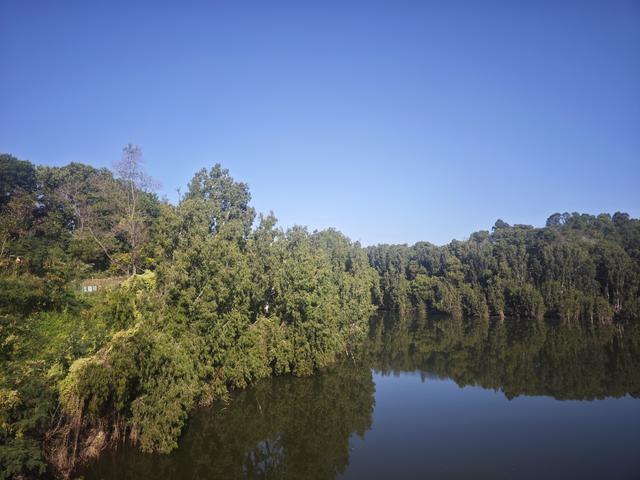 龙华新“骑”点，奔向2026骑行随拍1129