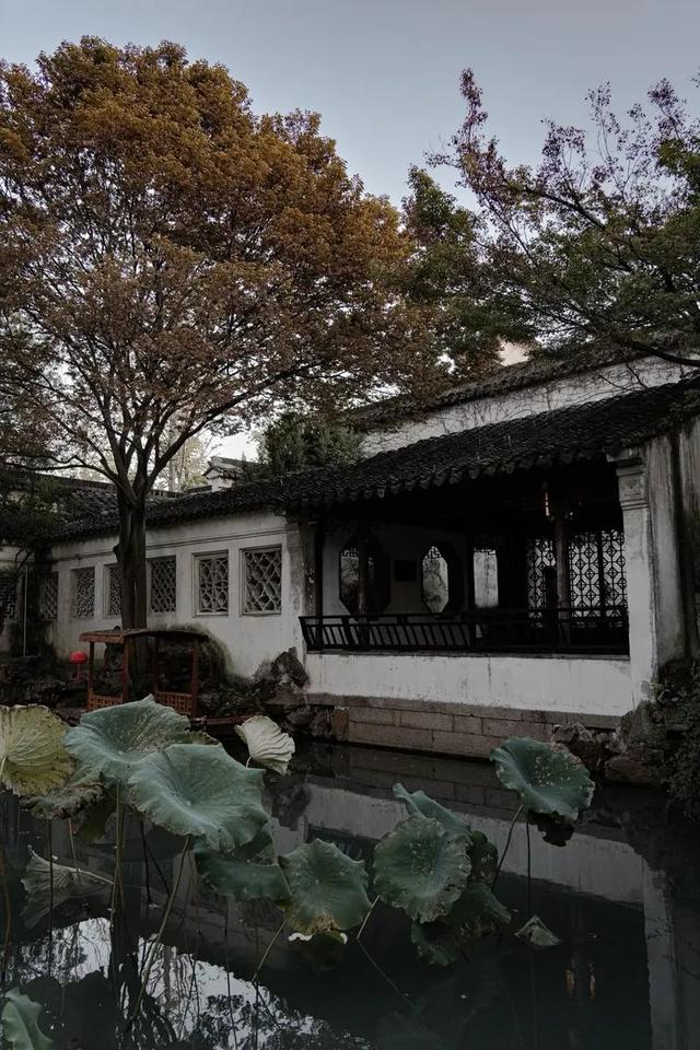 苏州十大必去景点全攻略:在古典园林中邂逅江南韵味