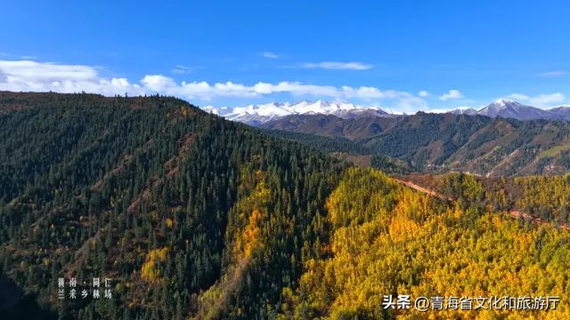 秋风叩黄南,一场与山水私语的秋日浪漫邀约