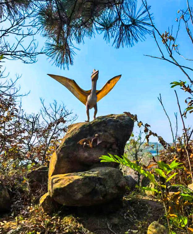 泗水县万紫千红旅游区：静谧而斑斓的生态画卷