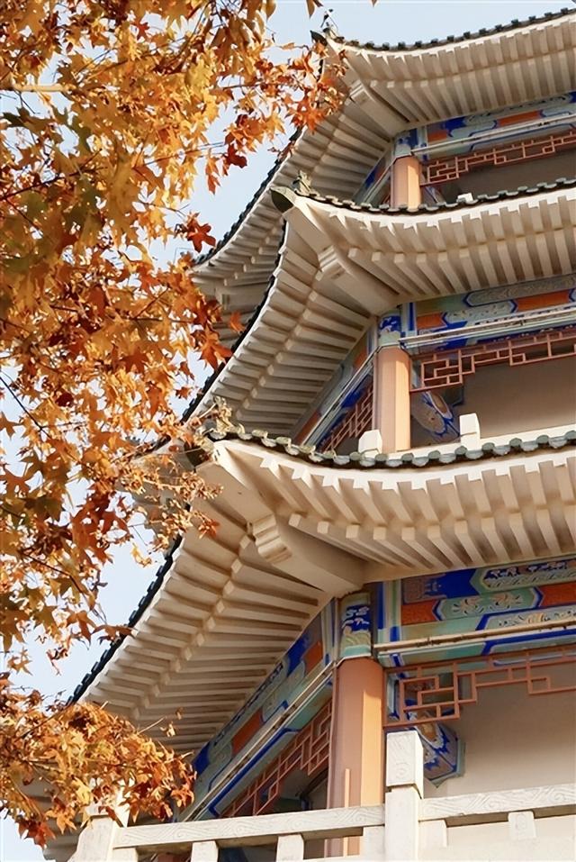 为秋天按下“暂停键” 市南这些地方美“枫”了