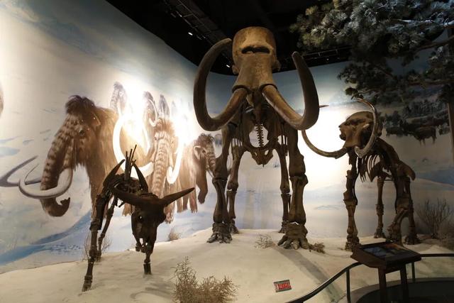 这场冰雪英雄会藏着最生动的人文秘境